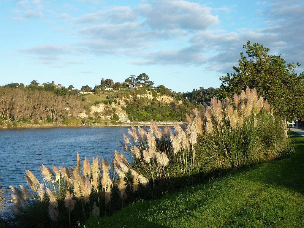 New_Zealand (106).JPG